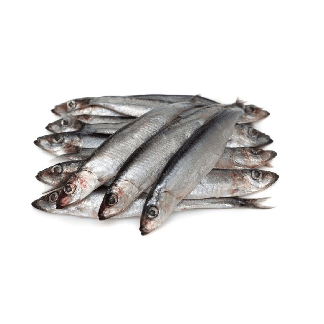 1f03a7a8 Fresh Anchovy - Image 1